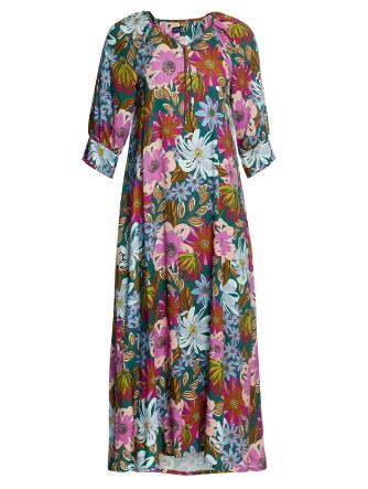 Beautiful Field etGerbera